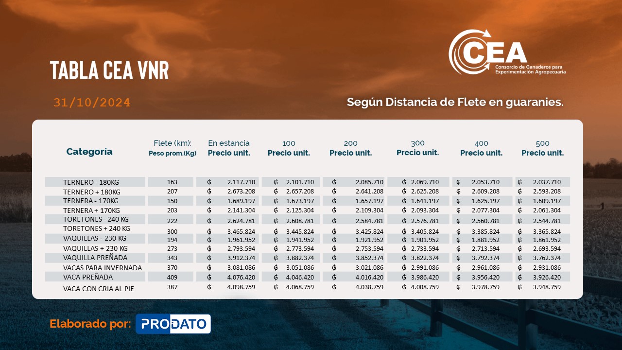 TABLA CEA VNR